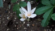 20190927_154016-3456x1944.webp