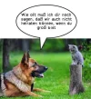 FB_IMG_1569659028996.webp