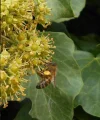 DSCN2395.webp