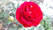 20190929_172322.webp