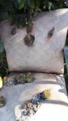 20191001_113739.webp