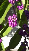 20191001_113453.webp