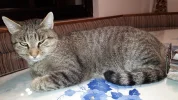 20191003_210936.webp