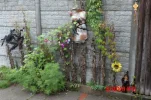 100_0026_1.webp