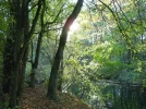 DSCN0078.webp