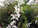 20190925_125441.webp