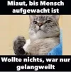 megalol_77944.webp