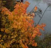 DSC00022.webp