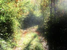 IMG_3492 (2).webp