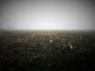IMG_3615 (3).webp