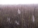 IMG_3578 (3).webp