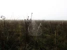 IMG_3582 (2).webp