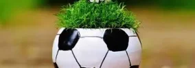 !! Fussball mit Grün.webp