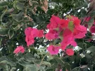 78B69767-ED8D-41DF-A3A1-506F4DD10AFE.webp