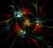 FABERGE 211019_2.webp