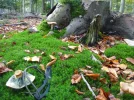 DSC04620.webp