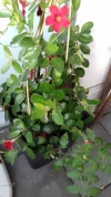 20191026_163210.webp