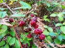 DSC04666.webp