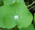DSC04851.webp