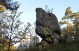 PfahlBaum004x1000er.webp