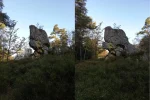 pfahl2waechter001.webp