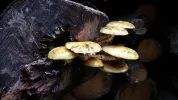 20191006_151130.webp