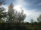IMG_3440 (5).webp