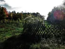 IMG_3519 (5).webp