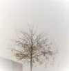 IMG_3572 (3).webp