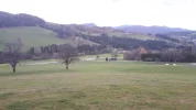 20191103_132209.webp