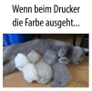 FB_IMG_1572898646345.webp