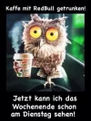 !! Red Bull 1485715229.webp