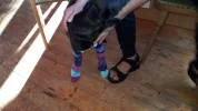20191107_141914.webp