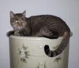 20191108_091834.webp