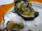 DSC04787.webp