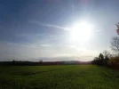 DSC04779.webp