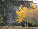 IMG_4988.webp