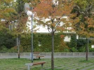 IMG_4985.webp