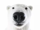 10112019114917.webp