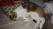 20191110_071216.webp