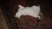 20191110_071137.webp