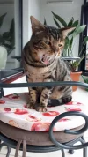 20191111_130030.webp