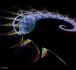FABERGE 131119_3.webp