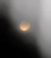 IMG_3094 (4).webp