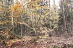 IMG_8606-1_sk1.webp