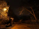 IMG_6998-1-2_sk.webp