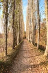 IMG_8859-1_sk.webp