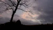20191117_065546.webp
