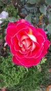 20191117_082850.webp