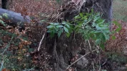 20191117_154617.webp